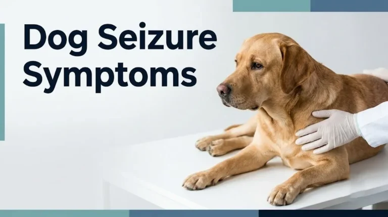 Dog seizure symptoms